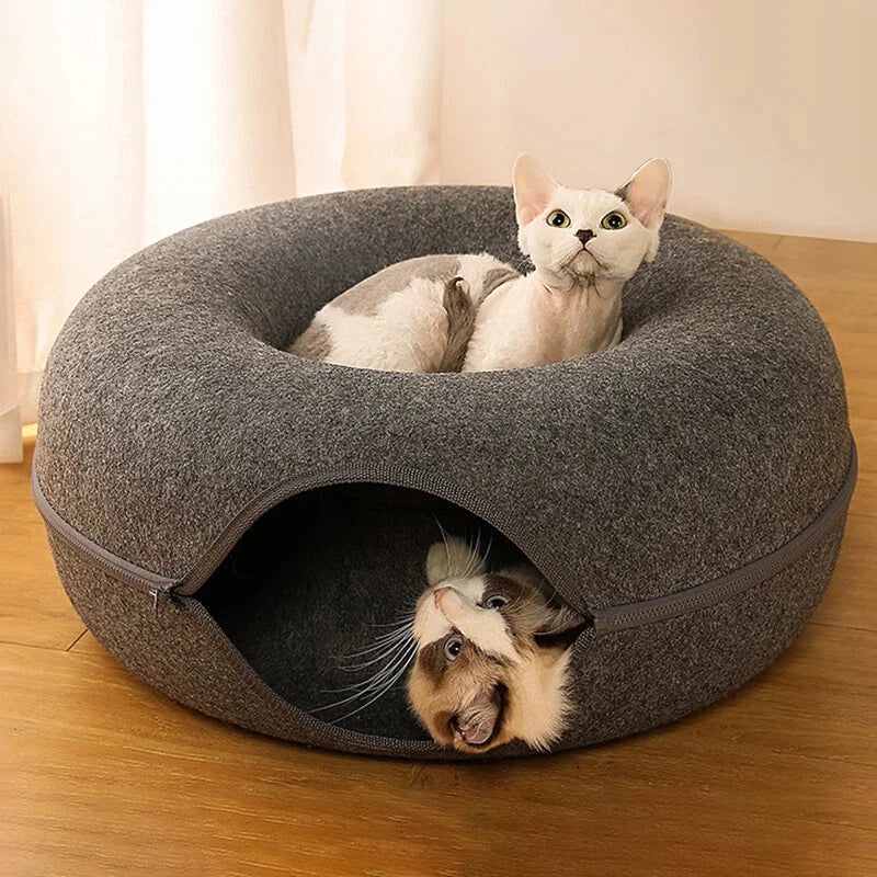 The Purrfect Donut