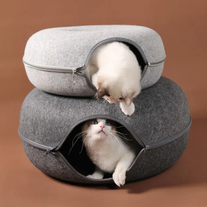 The Purrfect Donut