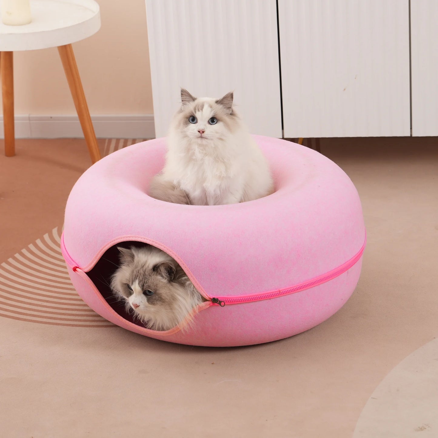 The Purrfect Donut