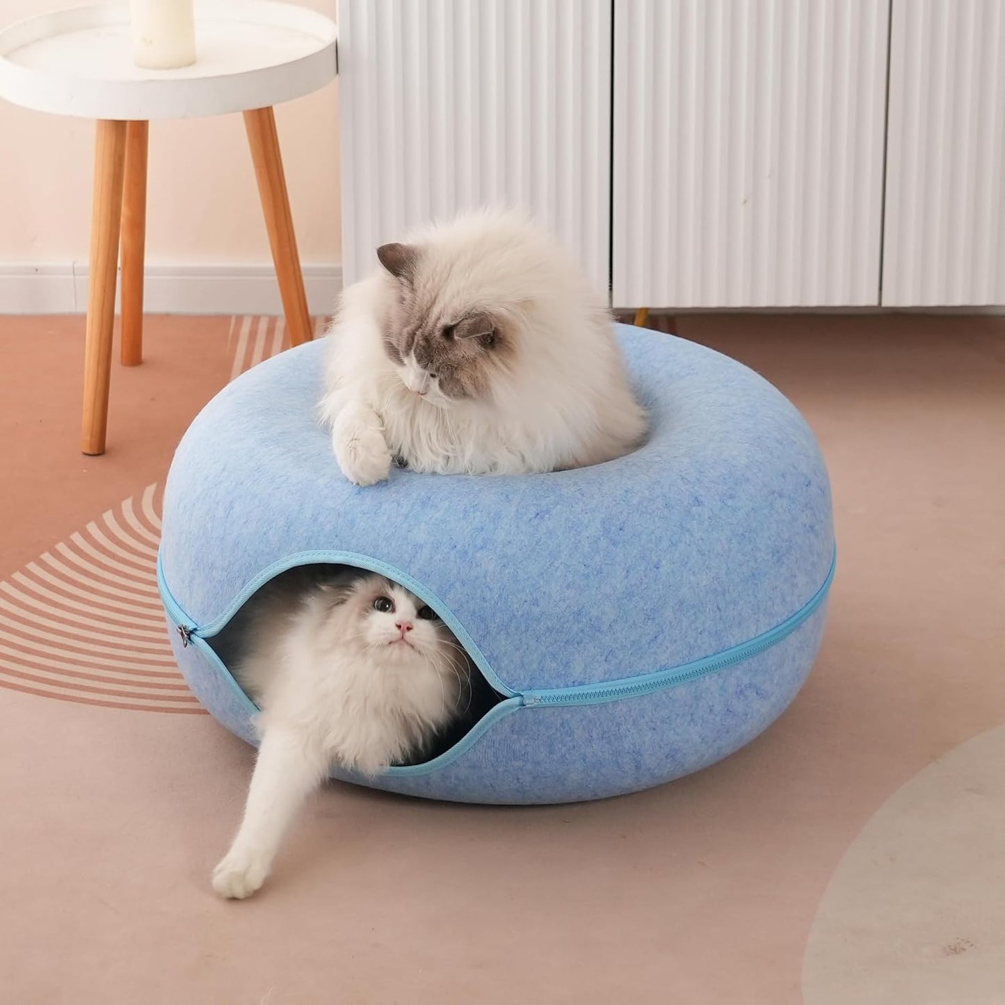 The Purrfect Donut